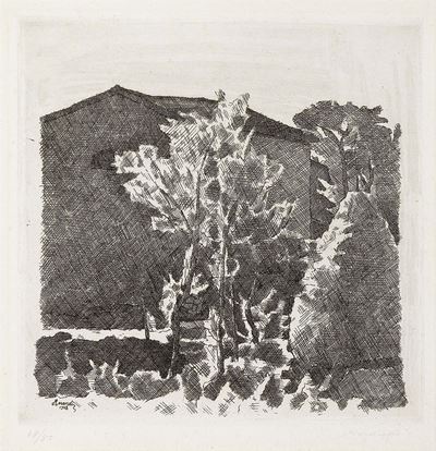 Il Poggio al Mattino