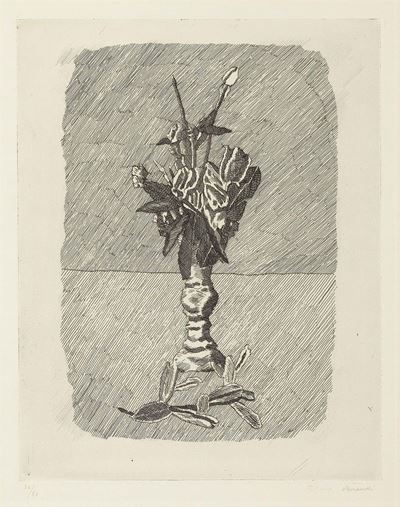 Rose in Boccio in un Vaso