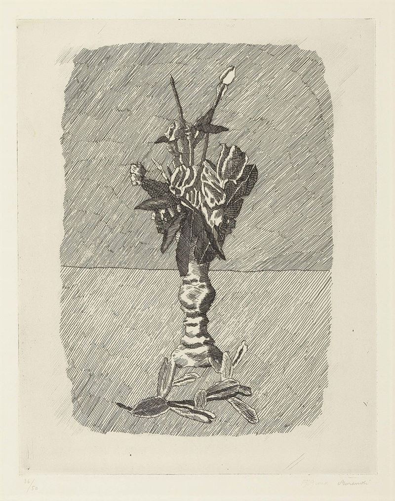 Giorgio Morandi - Rose in Boccio in un Vaso