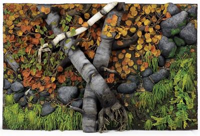 Bosco Autunnale