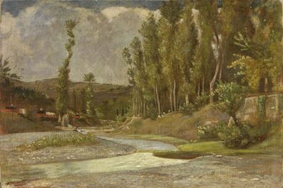 Veduta di un Torrente Circondato da Gruppi di Pioppi