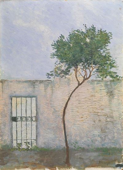 Muro e Albero