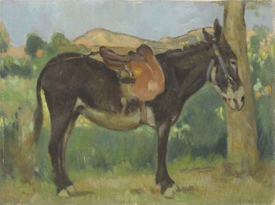 Asinello