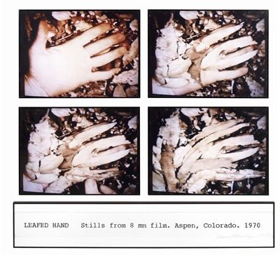 Leafed Hand