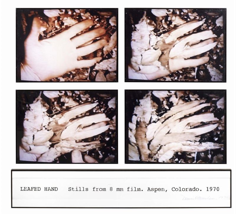 Dennis Oppenheim - Leafed Hand