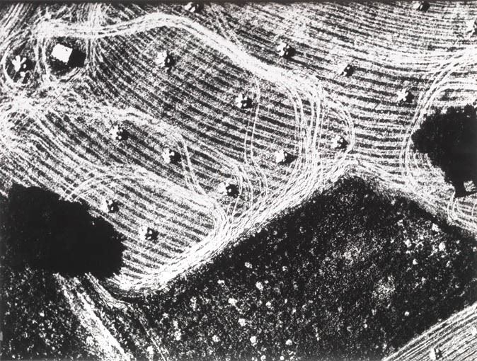 Mario Giacomelli - Paesaggio