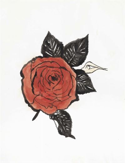 Rosa