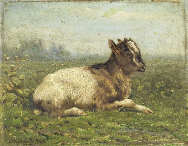 Ignoto del XIX secolo - Due dipinti a soggetto «Capretta»