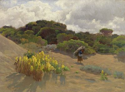 Fra le Dune - Maremma
