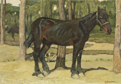 Cavallo