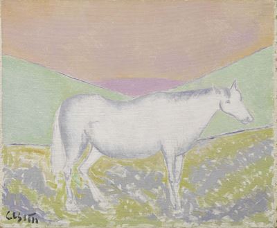 Cavallo con Cielo Rosa