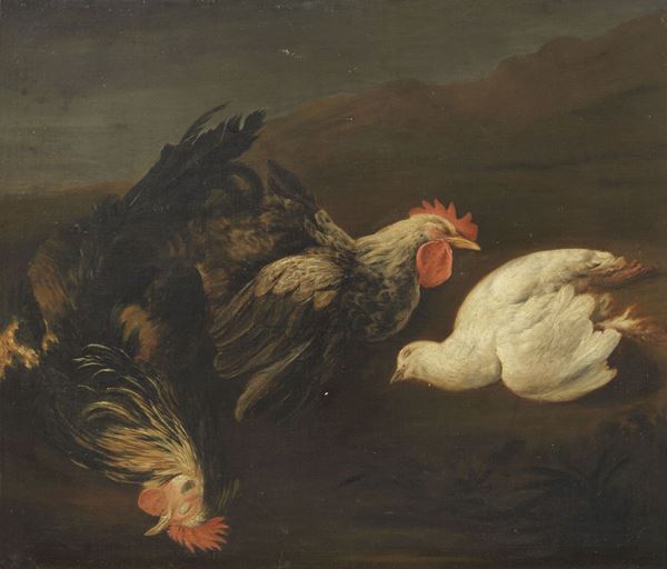 Scuola fiamminga del XVIII secolo - Natura morta con galli