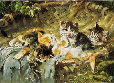 Gatti