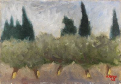 Ulivi e Pini