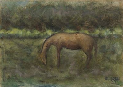 Pascolo