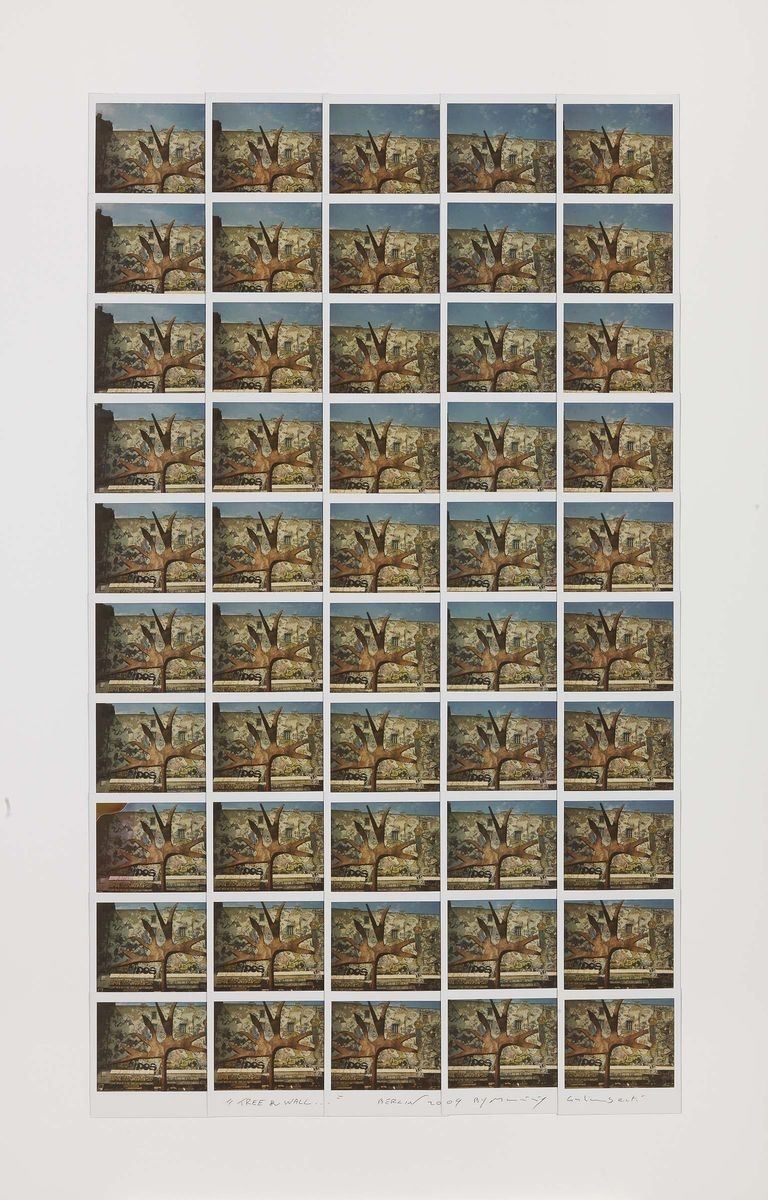 Maurizio Galimberti - Tree & Wall...