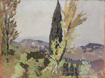 Fiesole Vista dai Bosconi