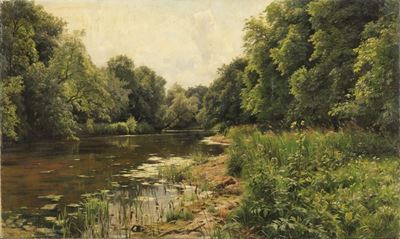 Riflessi nel Bosco