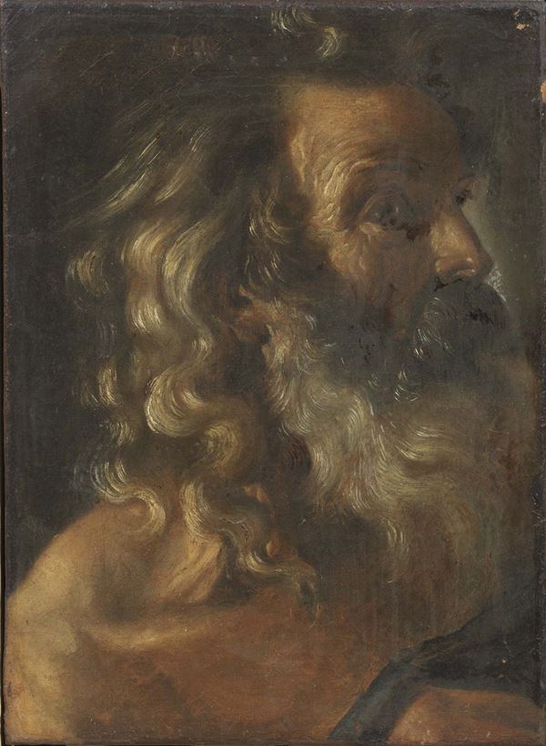 Seguace del Guercino del XVII secolo - Testa di vecchio barbuto