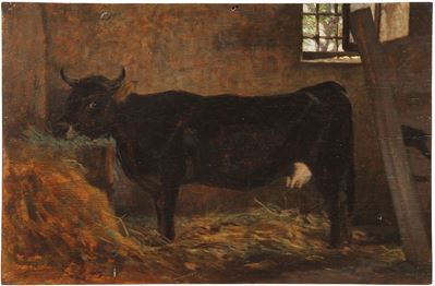Mucchina Nera nella Stalla