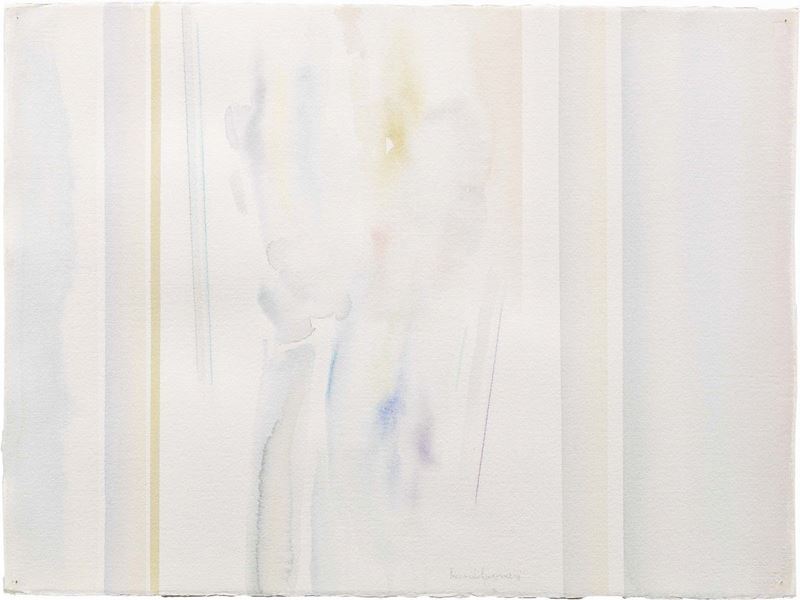 Riccardo Guarneri - Immagine Racchiusa