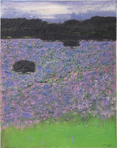 Campo di Lavanda in Versilia