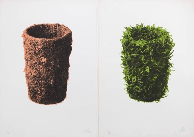 Fabrizio Plessi - Due Grafiche
