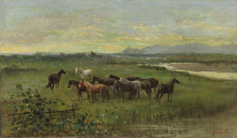 Lorenzo Gelati - Cavalli Bradi