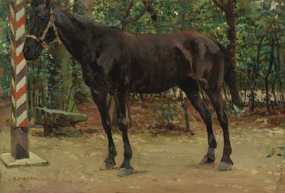 La Cavallina (parco della Villa Panerai a Montughi)