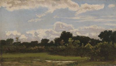 Tra gli Alberi, a San Rossore