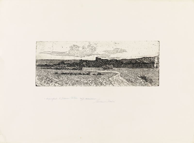 Paesaggio maremmano