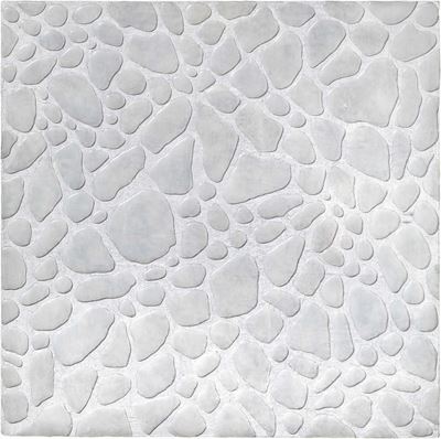 Cellulare
