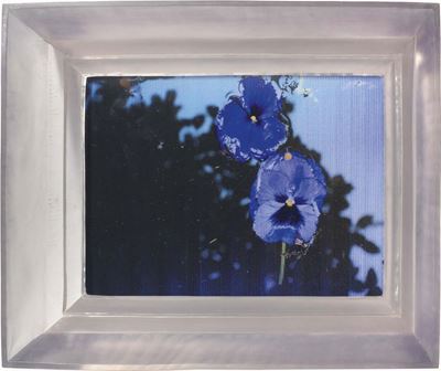 Poisoned Flowers
