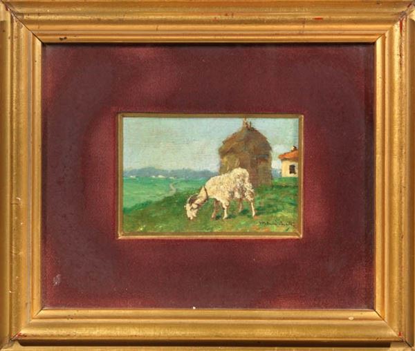 Ignoto fine XIX - inizi XX secolo - La capretta