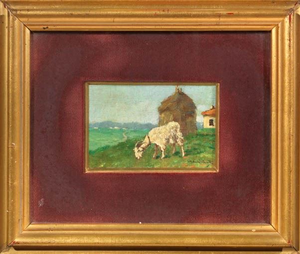 Ignoto Fine XIX - Inizi XX Secolo - La Capretta