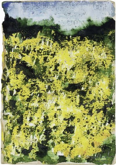 Le Ginestre
