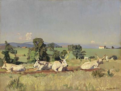 Buoi al Sole