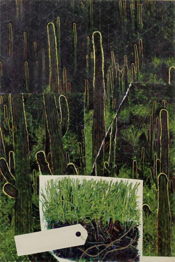 Claudio Cintoli - Giardino dei cactus