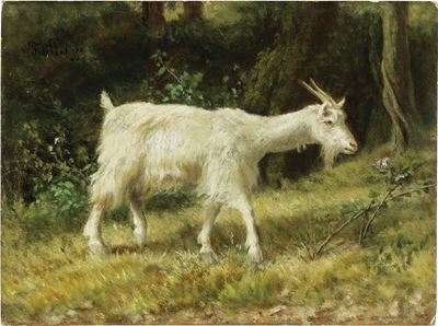 Capretta nel Bosco