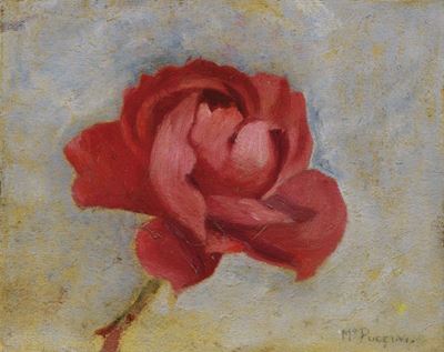 La Rosa