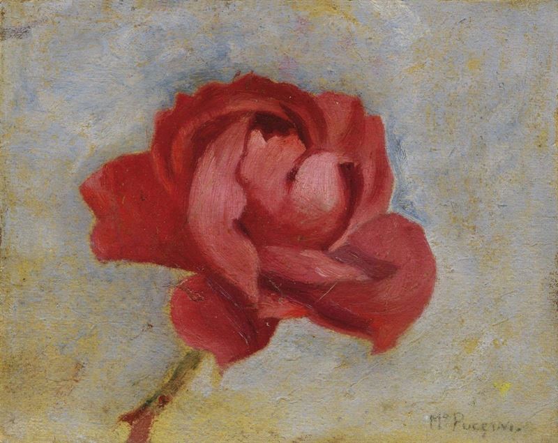 Mario Puccini - La Rosa