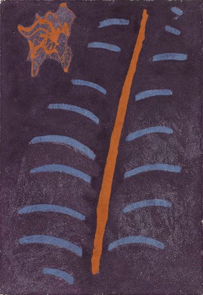 Vertebrato