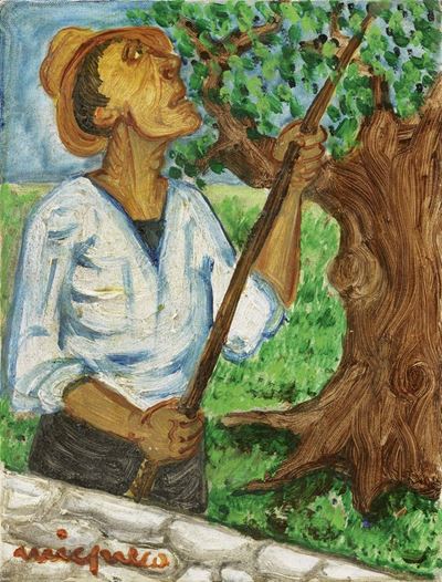La Raccolta delle Olive