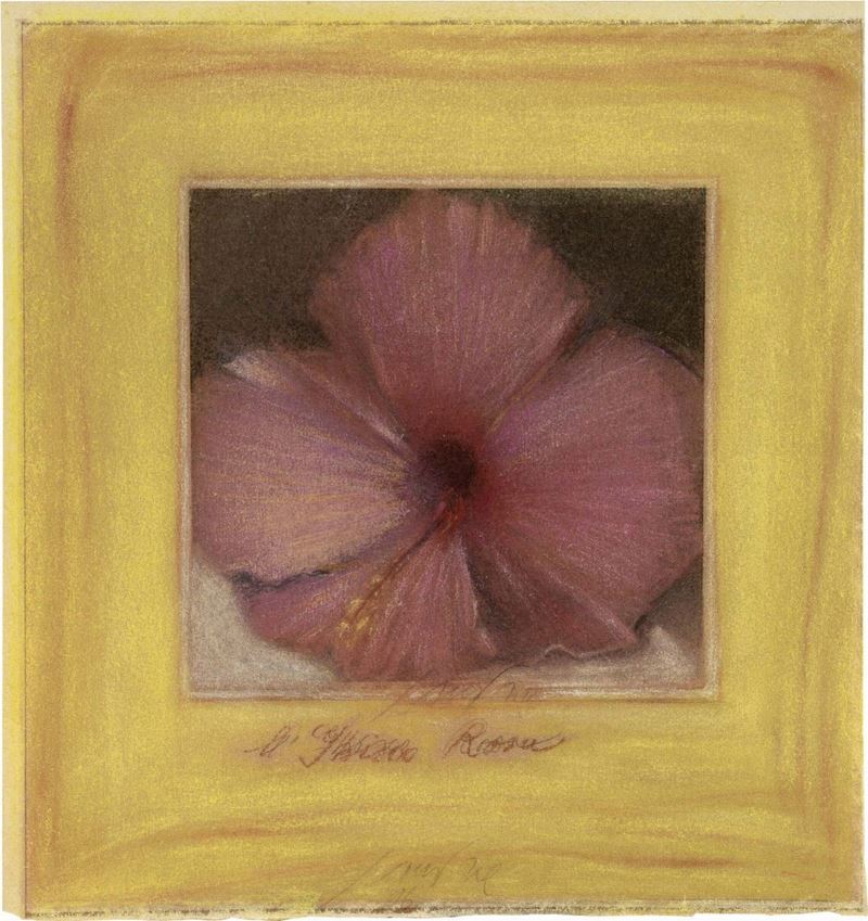 Piero Guccione - L'ibisco Rosso