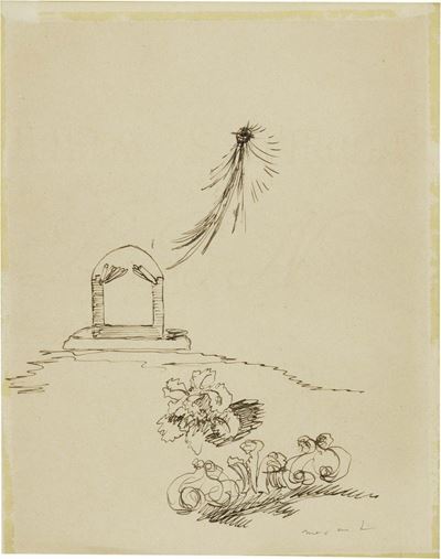Cométe Et Fleurs
