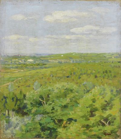 Paesaggio a Fauglia