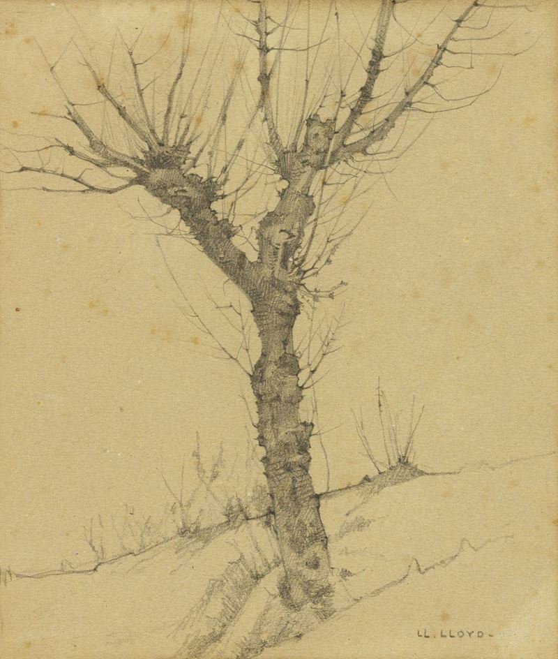 Llewelyn Lloyd - Albero