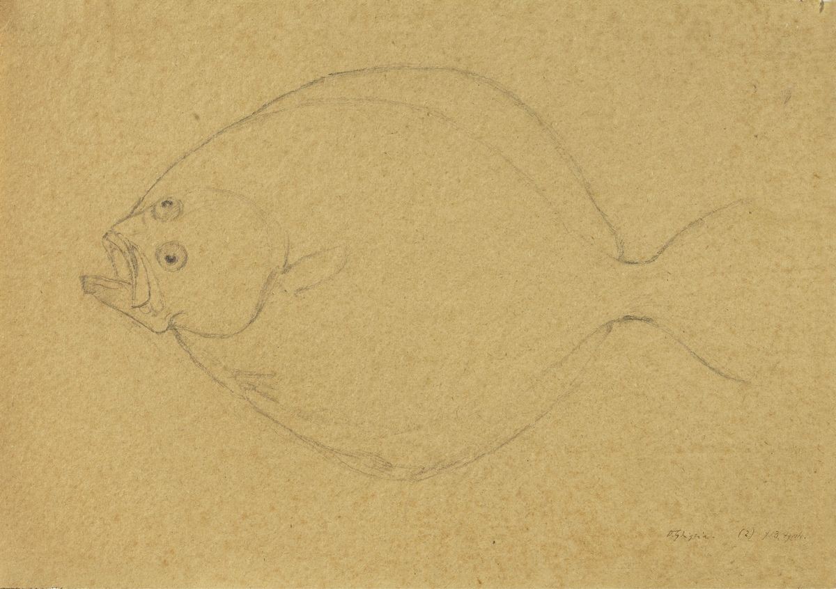 Oscar Ghiglia - «branzino» e »rombo»