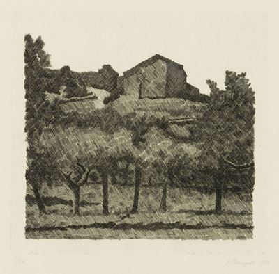 Paesaggio di Grizzana, le Lame