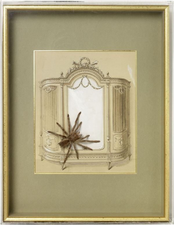 Daniel Spoerri : La mygale dans l'armoire  (1993)  - Détrompe l'oeil, assemblaggio in teca di plexiglass - Asta ARTE CONTEMPORANEA - I - Casa d'aste Farsettiarte